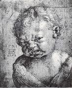 Albrecht Durer Head of a Weeping cherub oil on canvas